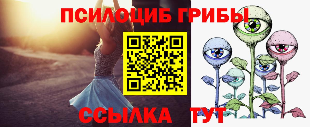 Вольск  Псилоцибиновые грибы мицелий  Галлюциногенные грибы ЛСД  купить   Вход с VPN 