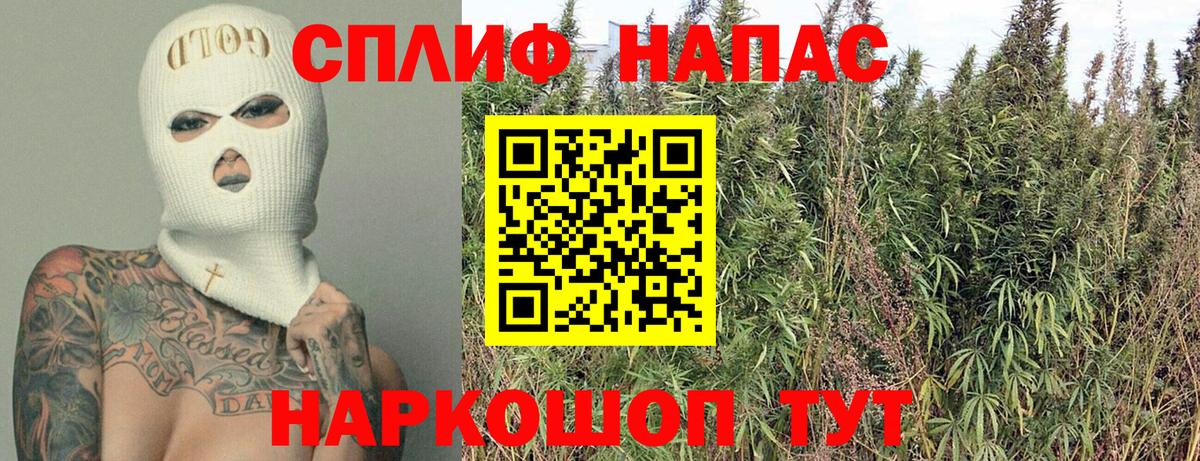 Бошки Шишки White Widow Вольск